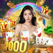 Dtd777 login